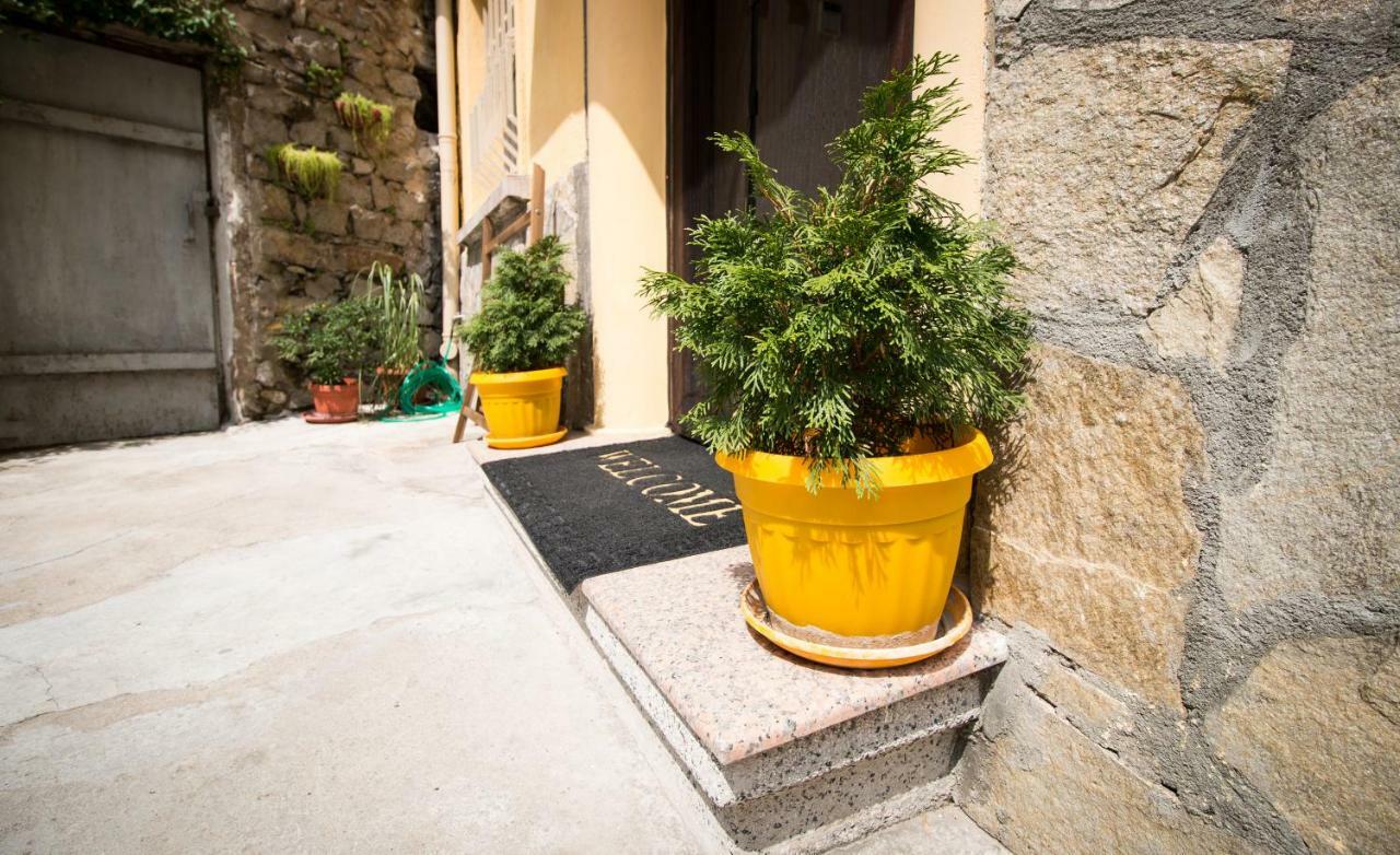 The Rocky House - Central & Private 2Bdr By Flat Mаnager Plowdiw Exterior foto